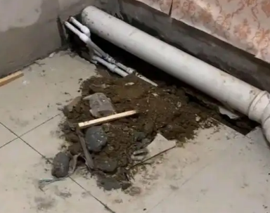 镇远卫生间漏水检测哪家好